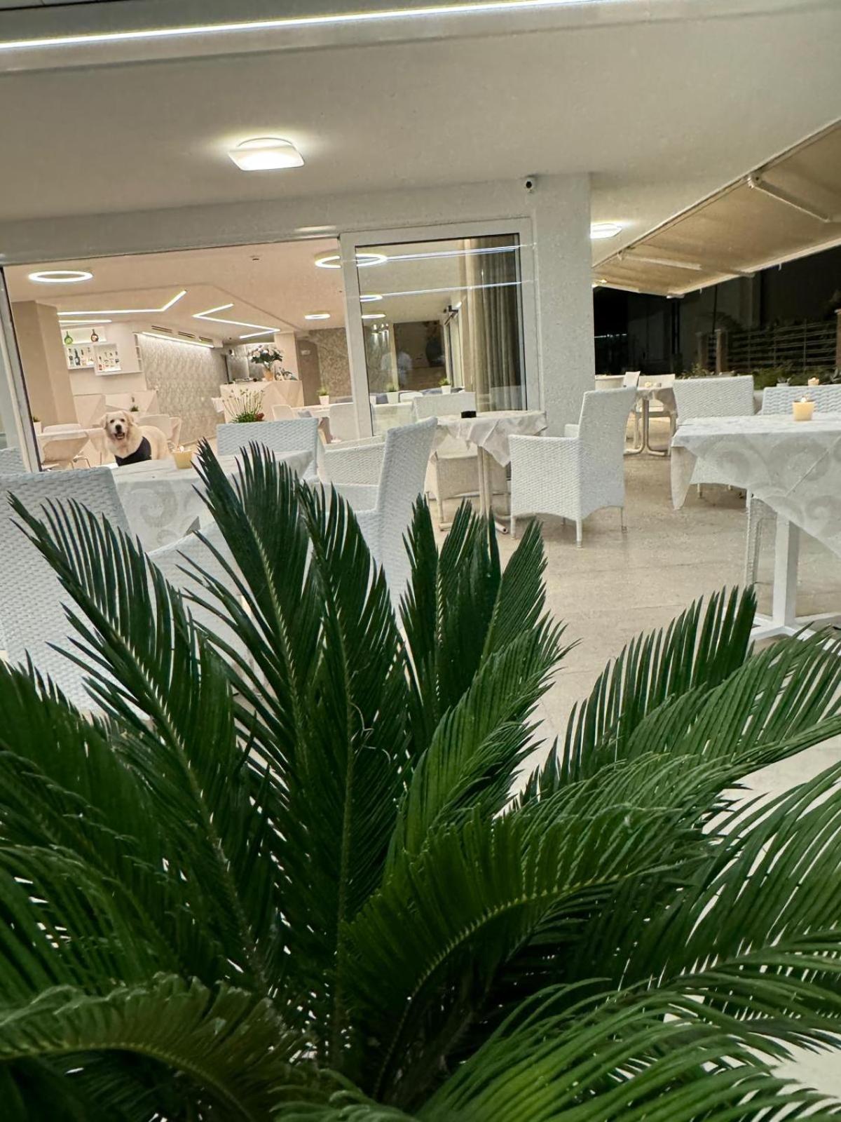 Hotel San Domingo Bellaria-Igea Marina Eksteriør billede