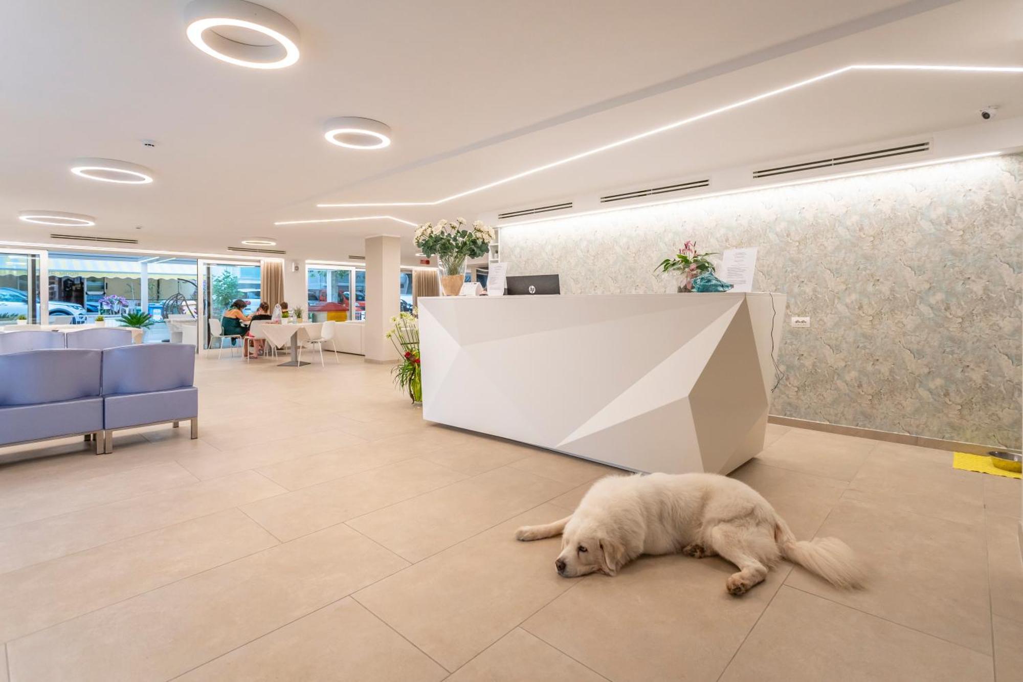 Hotel San Domingo Bellaria-Igea Marina Eksteriør billede